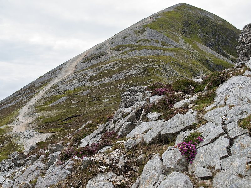The bare, stony slope of Croagh Patrick, the holy mountain of County Mayo, Ireland, under a grey sky.